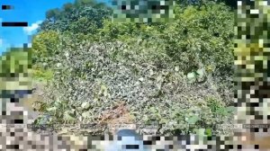 Операторы ударных дронов Тульского соединения ВДВ уничтожают военную технику ВСУ в Сумской области.