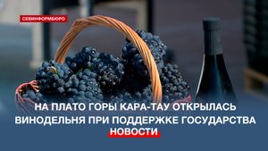 На плато горы Кара-Тау открылась винодельня при поддержке государства