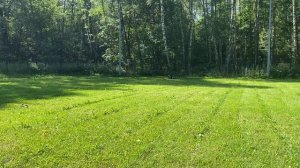 ВЕО Валентлайф Шерритэ Шанз Элизе 14 мес. - ОКД. Место на выставке. 08_2025г.