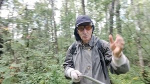 1-е сентября. ГРИБЫ ПОШЛИ, но на дальний кордон...