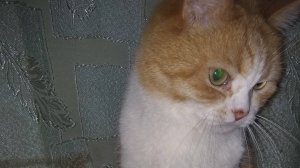 Не дам, иди работать.!😆