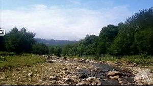 Горная река рубас в реке водятся рыбки, чистая прозрачная вода течёт в горах Дагестана #вэтотдень #