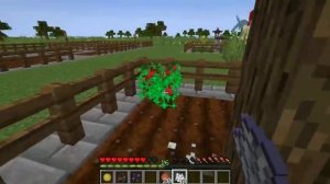 играю вырости сат в маинкравте 1 день