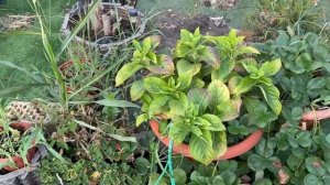 Гуляем и строим планы на сегодняшний день.