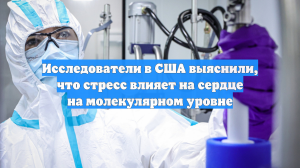 Исследователи в США выяснили, что стресс влияет на сердце на молекулярном уровне
