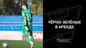 Чёрно-зелёные в аренде #23