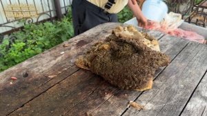 Тест ножей на мясе. Вектор-2 из стали 9ХС . Русский булат