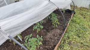 Сделали новую крышу на даче строим мини домик