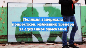 Полиция задержала подростков, избивших тренера за сделанное замечание