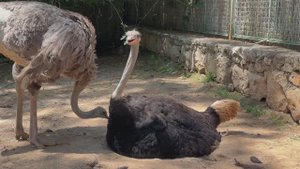 175027-852559044_small