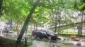 Полиция Зеленограда задержала уроженца Тольятти по подозрению в ограблении 85-летнего пенсионера