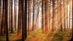 РЕЛАКС МУЗЫКА 2!