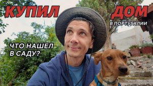 Купил дом в Португалии Что нашел в саду 3 выпуск