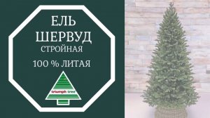 Triumph Tree - Обзор искусственной ели Шервуд  премиум стройная 100% литая зелёная