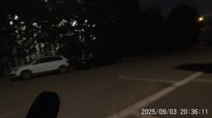 Шведы пытались устроить чемпионат Европы по сексу. И это новый спорт?