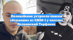 Полицейские устроили поиски сбежавших из СИЗО-1 у поселка Палкинский Торфяник