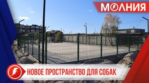 В Тарко-Сале строят новую площадку для выгула собак