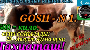 03-09-2025 Бык