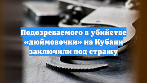 Подозреваемого в убийстве «дюймовочки» на Кубани заключили под стражу