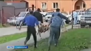 «Вести. Ставропольский край» 3.09.2025