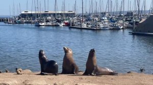 131556-750753039_small