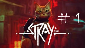 Stray / кибернетический Василий #1