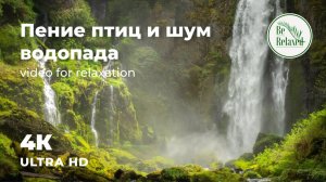 Звуки водопада и тропического леса.   Щебет птиц и раскаты грома для сна и релакса .