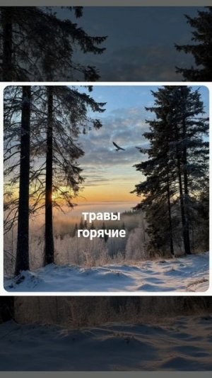 травы горячие.mp4