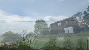 СНТ Тюльпан