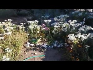 Переезд на юг. Трудные 90 годы. Воспоминания! Смотрите, слушайте,..