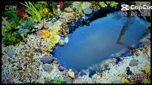 ВОДОЁМ ЗА 2 ДНЯ СВОИМИ РУКАМИ.