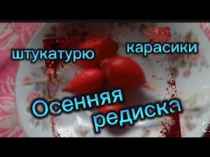 На мусорку в чудосапожках! Осенняя  редиска! Карасики. Штукатурю.
