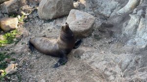 136352-764387880_small