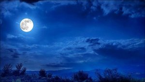 Луный свет как путеводная звезда