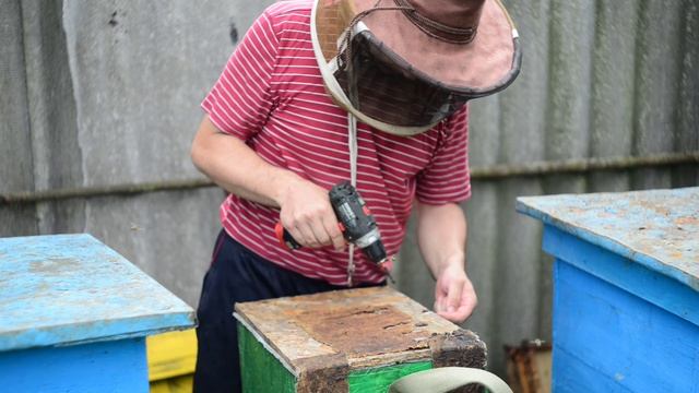 О роеловстве 2024 смотреть онлайн