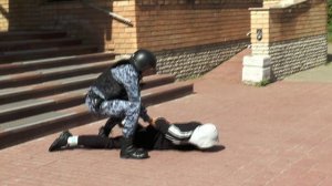 Учения ради жизни. Сюжет