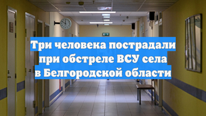 Три человека пострадали при обстреле ВСУ села в Белгородской области