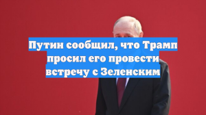 Путин сообщил, что Трамп просил его провести встречу с Зеленским