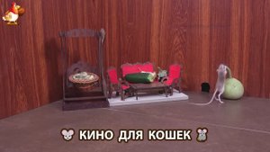Видео для кошек про крысок развлекать питомцев 🐭🐀😂 (302)
