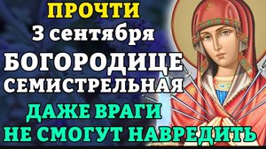 3 сентября ПРОЧТИ И ДАЖЕ ВРАГИ НЕ СМОГУТ НАВРЕДИТЬ! Молитва Божией Матери Семистрельная. Православие