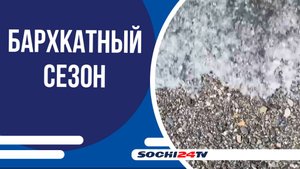 Бархатный сезон на черноморском побережье продлится дольше обычного