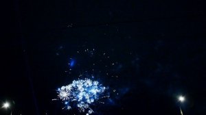 Салют Боско