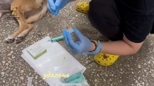 Лечим рак у Цитроны. Поддержать⬇️