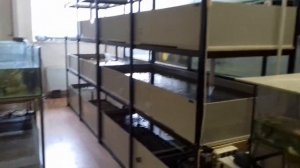 Демонстрационный зал ООО Корал Фиш. тел.+7921079739.