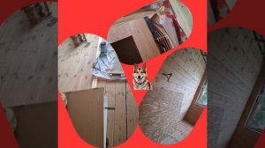 1000033728.mp4 (Собака наблюдает за креплением имитации бруса в большой комнате дома А-фрейм)