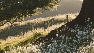 Оцените новое интро😉