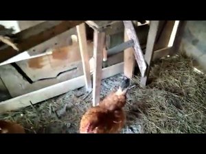 Ейск. СНТ Восход. Ура, скоро буду с водой! Начинают бурить скважину.