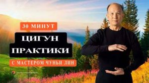 Ци10-03 Среда с основателем школы Chunyi Lin. Цигун Весеннего Леса (Чуньи Лин)
