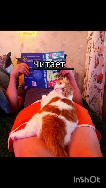 Кексик в августе 2025🐯