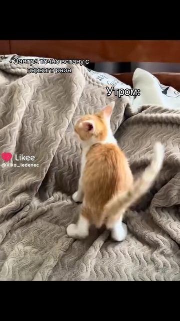 10000ооо